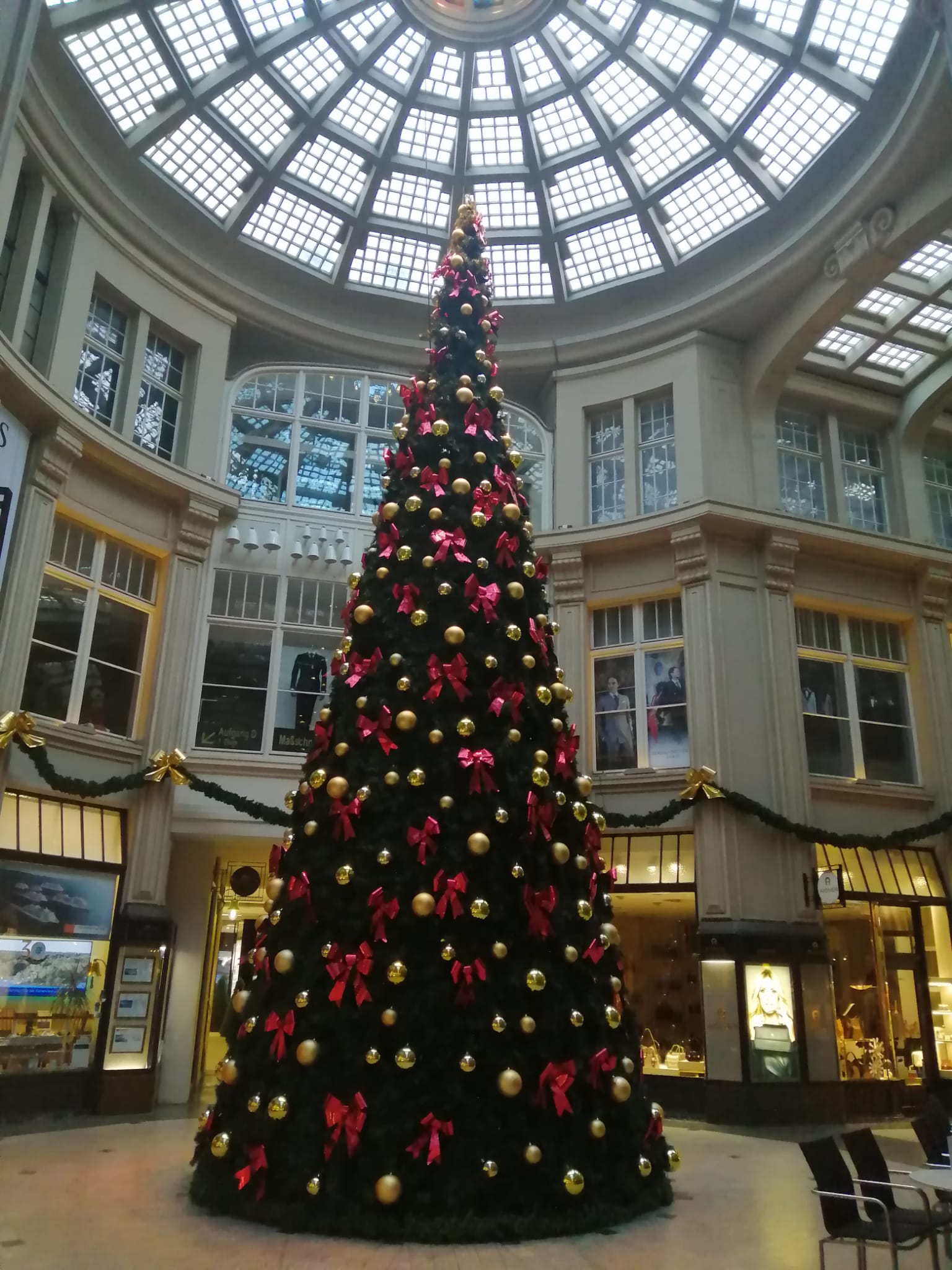 Obrázek WhatsApp, 2025-12-05 v 11.32.10_b542f241